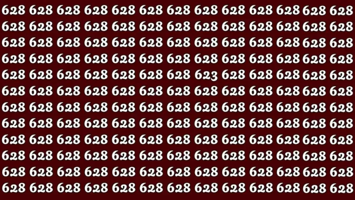 Uganka za super pametne: poiščite število 623 v samo 32 sekundah