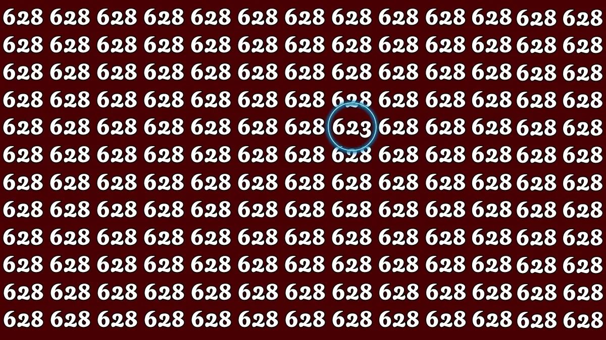 Uganka za izjemno pametne: poiščite število 623 v samo 32 sekundah