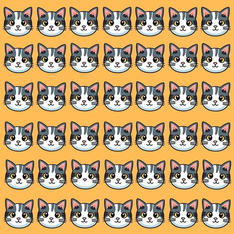 Ta optična iluzija je mogoča le za ljudi z grandioznim IQ / Moje image