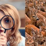 Iskanje treh koz med srnami v 11 sekundah: zelo zapletena