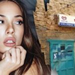 Le genij bi v 7 sekundah našel psa na ulici: