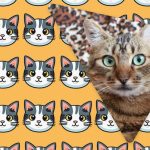 Le ljudje z visokim inteligenčnim količnikom bodo v 11 sekundah