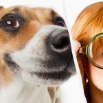 Samo pravi IQ-jevec bo v 10 sekundah videl psa v